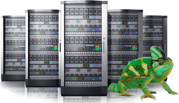 Newbury Website Hosting